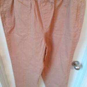2-$10...Cato Plus Size 18/20 Rust Colored Elastic Waistband Pull-on Casual Pants